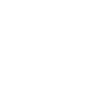 arkona_logo300